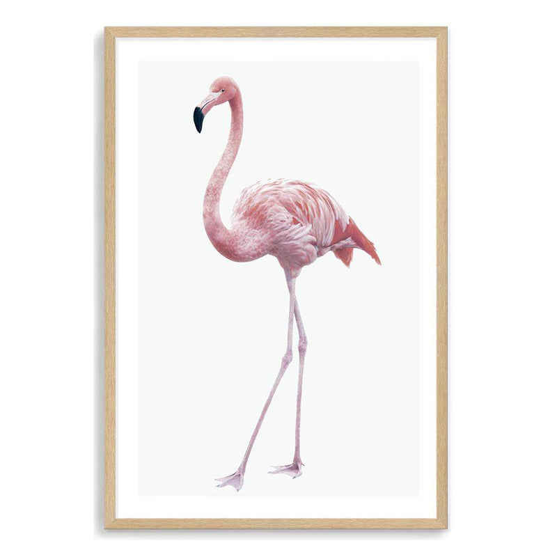 Pink Flamingo-The Paper Tree-africa,AFRICAN ANIMAL,African animals,america,animal,Artwork,bird,boho,flamingo,palm springs,pink,portrait,premium art print,tropical,wall art,Wall_Art,Wall_Art_Prints