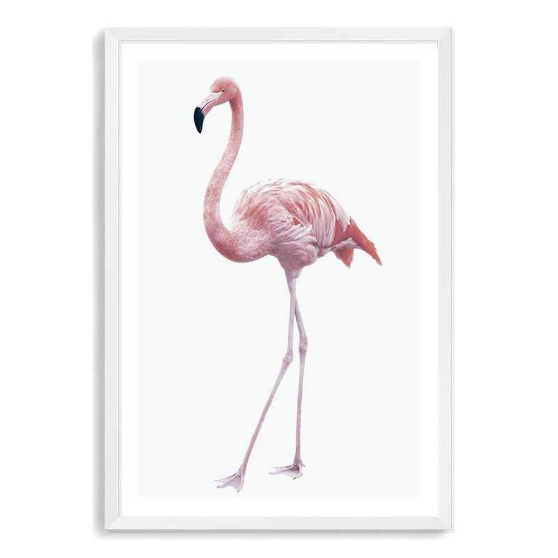 Pink Flamingo-The Paper Tree-africa,AFRICAN ANIMAL,African animals,america,animal,Artwork,bird,boho,flamingo,palm springs,pink,portrait,premium art print,tropical,wall art,Wall_Art,Wall_Art_Prints