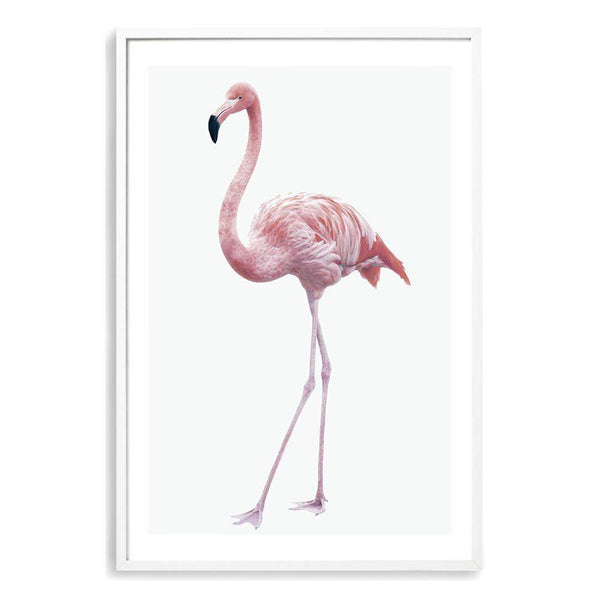 Pink Flamingo-The Paper Tree-africa,AFRICAN ANIMAL,African animals,america,animal,Artwork,bird,boho,flamingo,palm springs,pink,portrait,premium art print,tropical,wall art,Wall_Art,Wall_Art_Prints