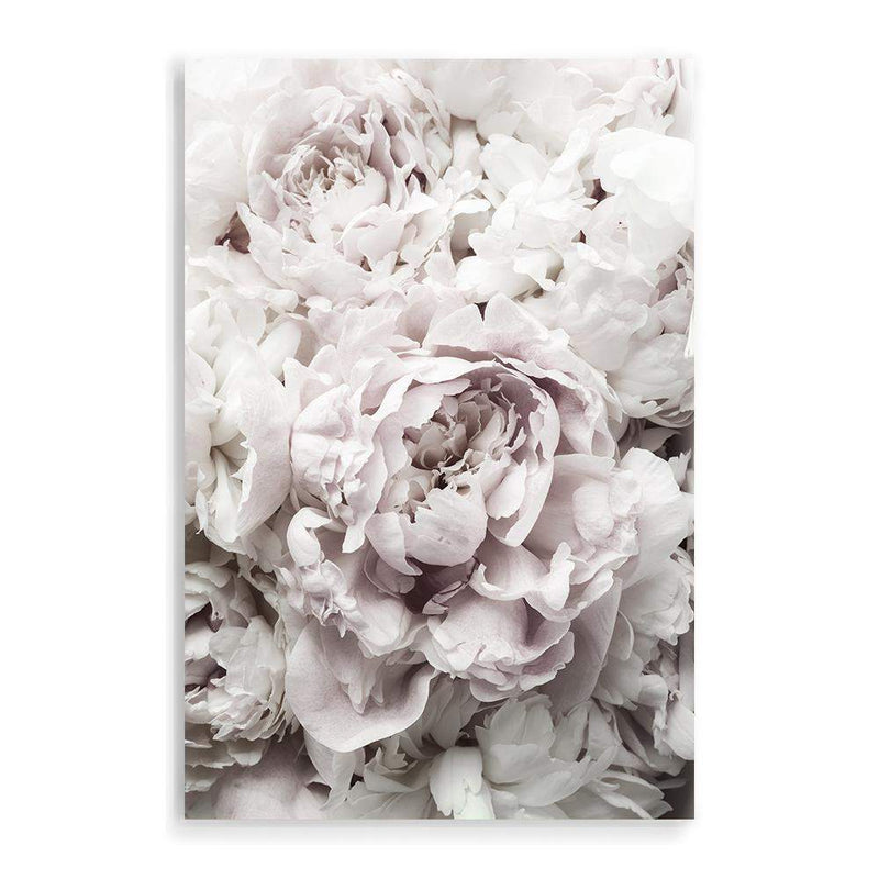 White Peonies-The Paper Tree-bouquet,fashion,feminine,floral,flower,hamptons,neutral,peonies,peony,petal,portrait,premium art print,romantic,soft,wall art,Wall_Art,Wall_Art_Prints,white