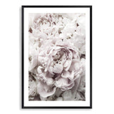 White Peonies-The Paper Tree-bouquet,fashion,feminine,floral,flower,hamptons,neutral,peonies,peony,petal,portrait,premium art print,romantic,soft,wall art,Wall_Art,Wall_Art_Prints,white