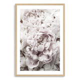 White Peonies-The Paper Tree-bouquet,fashion,feminine,floral,flower,hamptons,neutral,peonies,peony,petal,portrait,premium art print,romantic,soft,wall art,Wall_Art,Wall_Art_Prints,white