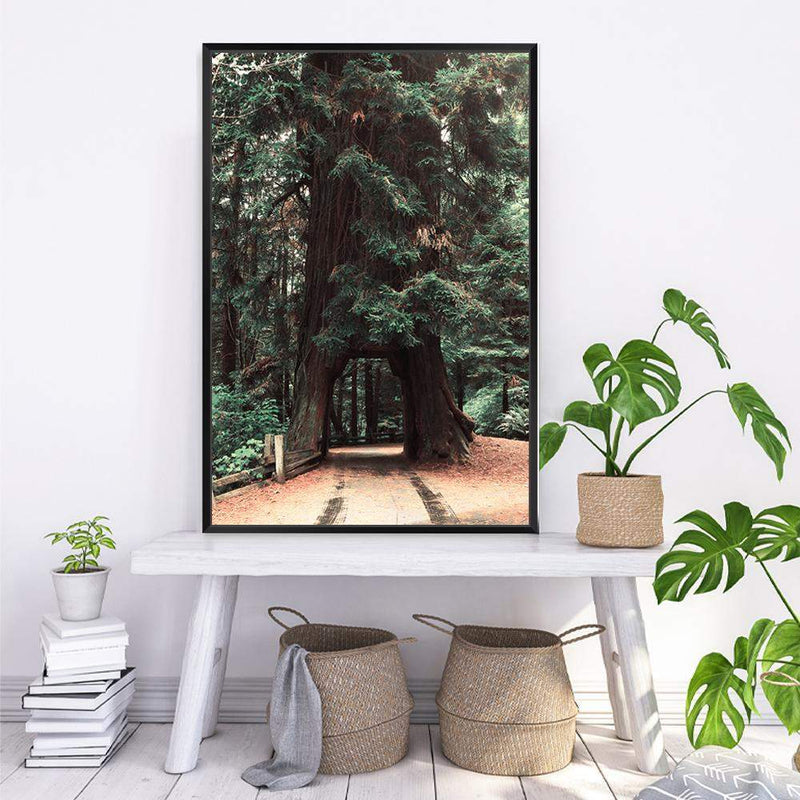 Redwood Tree-The Paper Tree-botanical,green,nature,orange,pine tree,portrait,premium art print,redwood,redwood tree,tan,tree,tree trunk,trees,trunk,wall art,Wall_Art,Wall_Art_Prints