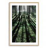 Forest Sunlight-The Paper Tree-beams,botanical,forest,green,light,nature,portrait,premium art print,rays,sun,sunlight,tree,tree trunk,trees,trunks,wall art,Wall_Art,Wall_Art_Prints,woods