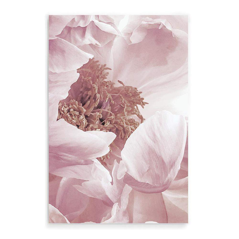 Dusty Pink Peonies Floral-The Paper Tree-dusty pink,feminine,floral,flower,france,muted tone,peonies,peony,petals,pink,pink peony,portrait,premium art print,wall art,Wall_Art,Wall_Art_Prints