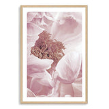 Dusty Pink Peonies Floral-The Paper Tree-dusty pink,feminine,floral,flower,france,muted tone,peonies,peony,petals,pink,pink peony,portrait,premium art print,wall art,Wall_Art,Wall_Art_Prints