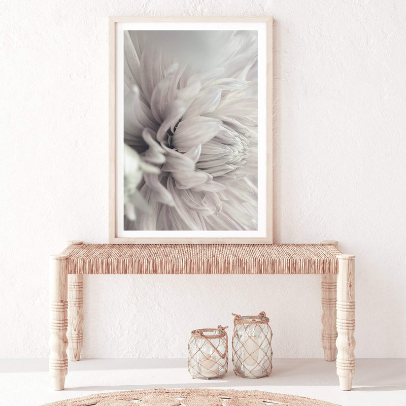 White Dahlia-The Paper Tree-black & white,BLACK AND WHITE,boho,DAHLIA,dahlia flower,feminine,floral,flower,flowers,hamptons,monochrome,neutral,painted,portrait,premium art print,wall art,Wall_Art,Wall_Art_Prints,white