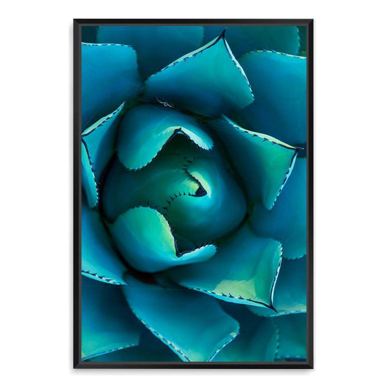 Teal Succulent-The Paper Tree-blue,botanical,cacti,cactus,colourful,portrait,premium art print,spider,succulent,teal,vibrant,wall art,Wall_Art,Wall_Art_Prints,web