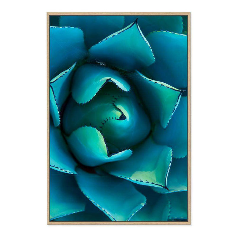 Teal Succulent-The Paper Tree-blue,botanical,cacti,cactus,colourful,portrait,premium art print,spider,succulent,teal,vibrant,wall art,Wall_Art,Wall_Art_Prints,web