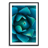 Teal Succulent-The Paper Tree-blue,botanical,cacti,cactus,colourful,portrait,premium art print,spider,succulent,teal,vibrant,wall art,Wall_Art,Wall_Art_Prints,web