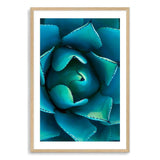 Teal Succulent-The Paper Tree-blue,botanical,cacti,cactus,colourful,portrait,premium art print,spider,succulent,teal,vibrant,wall art,Wall_Art,Wall_Art_Prints,web