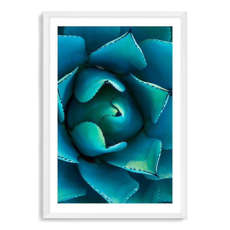 Teal Succulent-The Paper Tree-blue,botanical,cacti,cactus,colourful,portrait,premium art print,spider,succulent,teal,vibrant,wall art,Wall_Art,Wall_Art_Prints,web