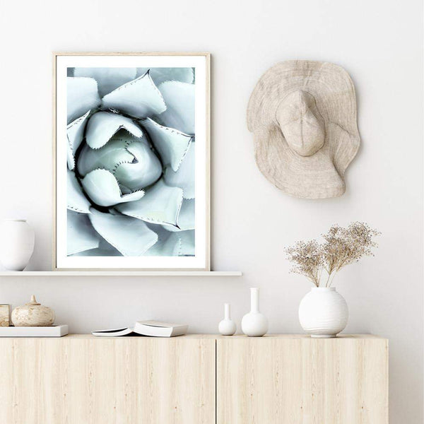 White Succulent-The Paper Tree-botanical,cacti,cactus,hamptons,neutral,portrait,premium art print,spider,succulent,wall art,Wall_Art,Wall_Art_Prints,web,white