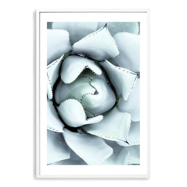 White Succulent-The Paper Tree-botanical,cacti,cactus,hamptons,neutral,portrait,premium art print,spider,succulent,wall art,Wall_Art,Wall_Art_Prints,web,white