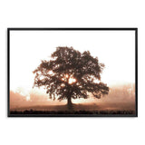 Tree In The Dawn Sunlight-The Paper Tree-beams,farm,landscape,mist,nature,orange,premium art print,sheep,sun,sun beam,sun ray,sun rays,sunlight,TAN,tree,trees,wall art,Wall_Art,Wall_Art_Prints