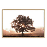 Tree In The Dawn Sunlight-The Paper Tree-beams,farm,landscape,mist,nature,orange,premium art print,sheep,sun,sun beam,sun ray,sun rays,sunlight,TAN,tree,trees,wall art,Wall_Art,Wall_Art_Prints