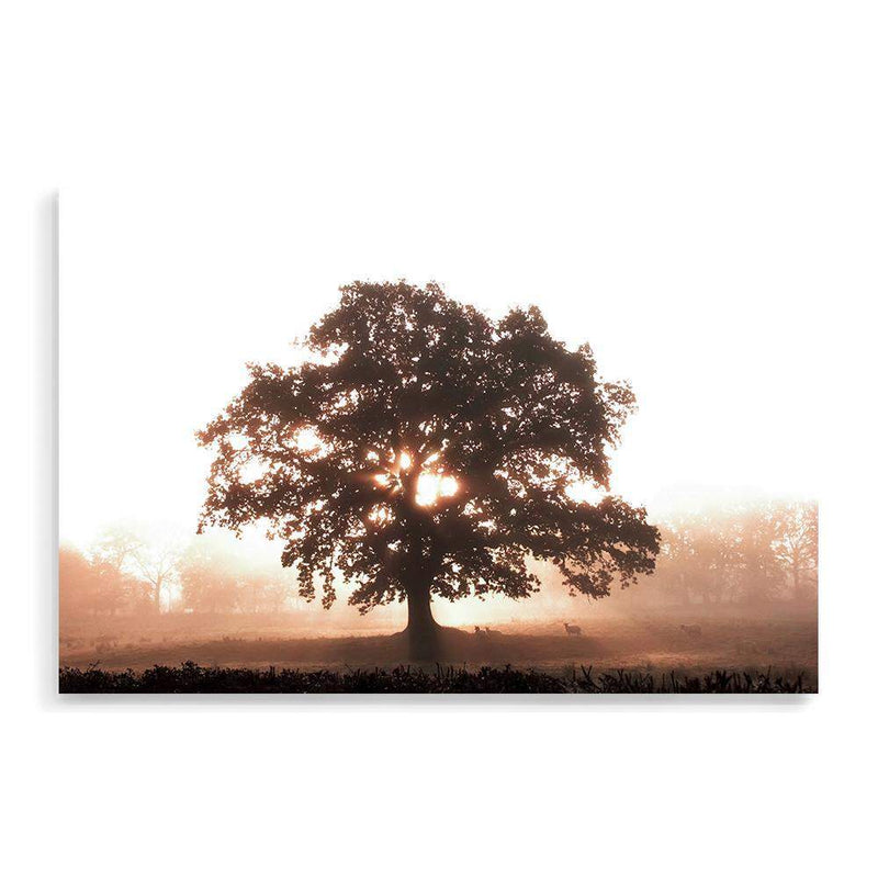 Tree In The Dawn Sunlight-The Paper Tree-beams,farm,landscape,mist,nature,orange,premium art print,sheep,sun,sun beam,sun ray,sun rays,sunlight,TAN,tree,trees,wall art,Wall_Art,Wall_Art_Prints