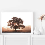 Tree In The Dawn Sunlight-The Paper Tree-beams,farm,landscape,mist,nature,orange,premium art print,sheep,sun,sun beam,sun ray,sun rays,sunlight,TAN,tree,trees,wall art,Wall_Art,Wall_Art_Prints