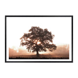 Tree In The Dawn Sunlight-The Paper Tree-beams,farm,landscape,mist,nature,orange,premium art print,sheep,sun,sun beam,sun ray,sun rays,sunlight,TAN,tree,trees,wall art,Wall_Art,Wall_Art_Prints