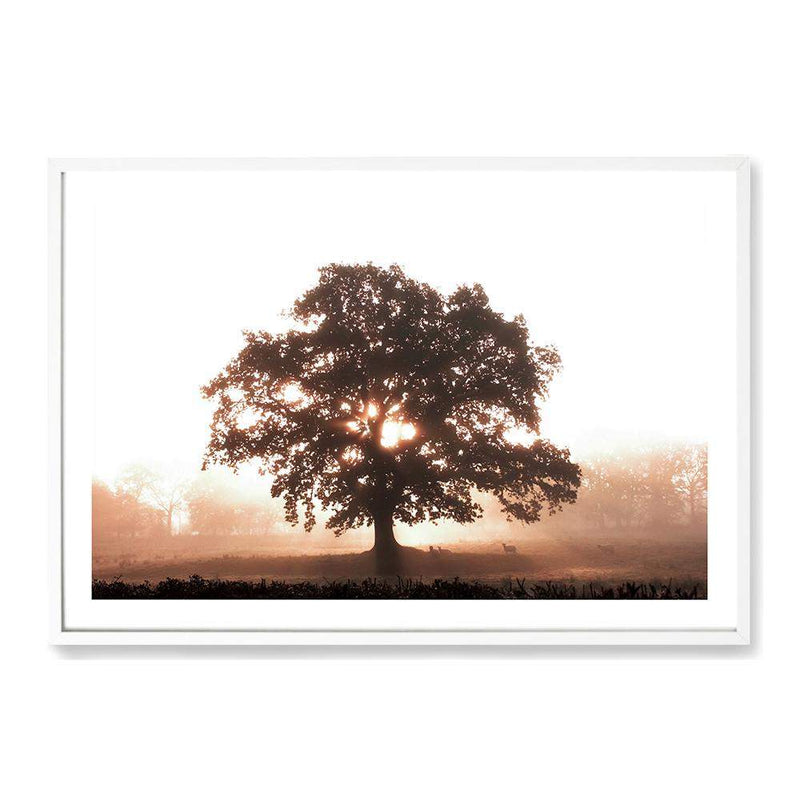 Tree In The Dawn Sunlight-The Paper Tree-beams,farm,landscape,mist,nature,orange,premium art print,sheep,sun,sun beam,sun ray,sun rays,sunlight,TAN,tree,trees,wall art,Wall_Art,Wall_Art_Prints