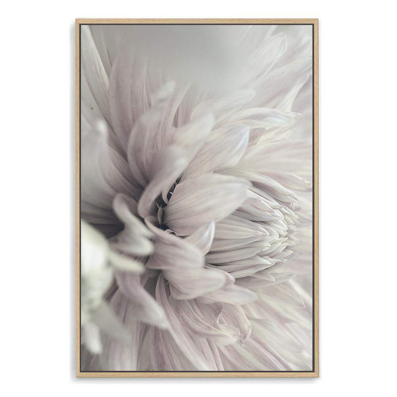 White Dahlia-The Paper Tree-black & white,BLACK AND WHITE,boho,DAHLIA,dahlia flower,feminine,floral,flower,flowers,hamptons,monochrome,neutral,painted,portrait,premium art print,wall art,Wall_Art,Wall_Art_Prints,white