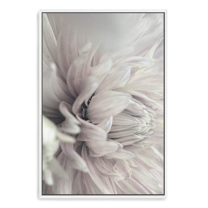 White Dahlia-The Paper Tree-black & white,BLACK AND WHITE,boho,DAHLIA,dahlia flower,feminine,floral,flower,flowers,hamptons,monochrome,neutral,painted,portrait,premium art print,wall art,Wall_Art,Wall_Art_Prints,white