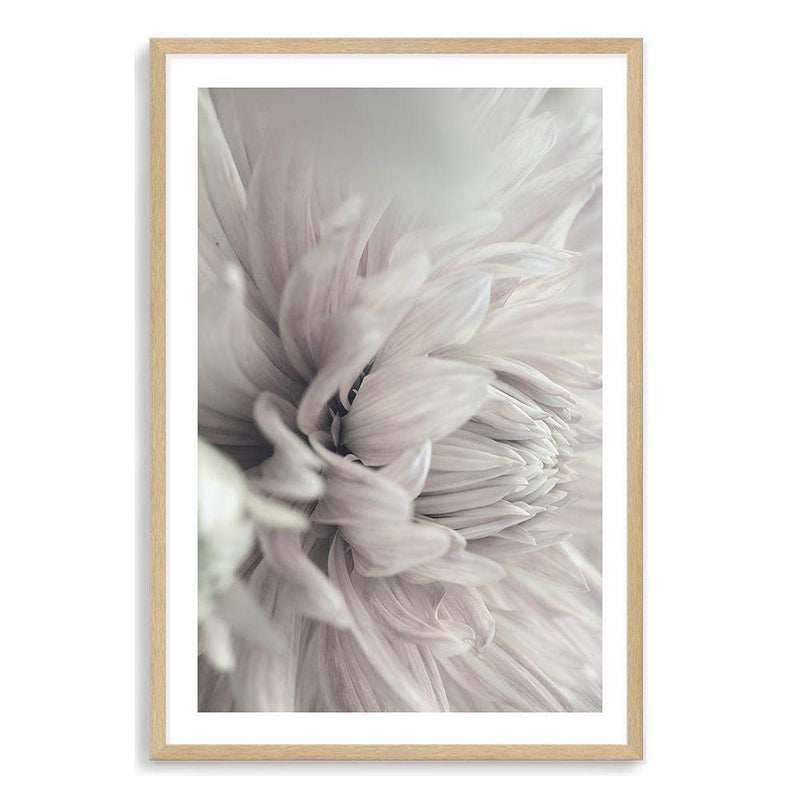 White Dahlia-The Paper Tree-black & white,BLACK AND WHITE,boho,DAHLIA,dahlia flower,feminine,floral,flower,flowers,hamptons,monochrome,neutral,painted,portrait,premium art print,wall art,Wall_Art,Wall_Art_Prints,white