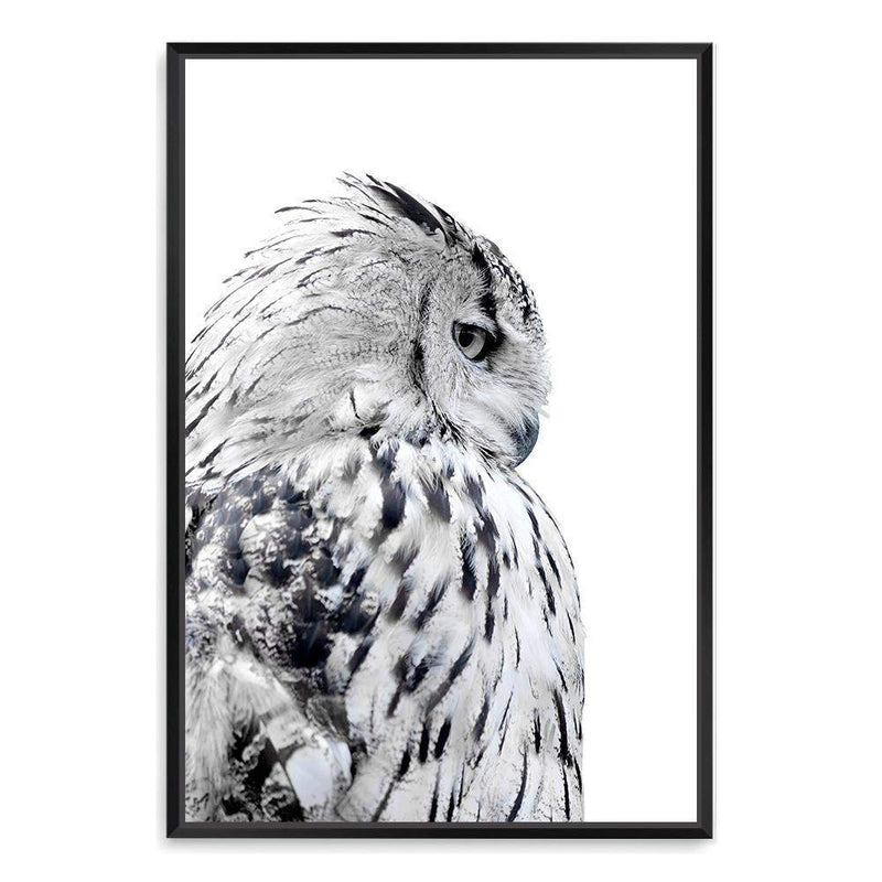 White Owl-The Paper Tree-animal,bird,black & white,black and white,boho,feathers,hamptons,harry potter,hedwig,monochrome,nature,owl,portrait,premium art print,wall art,Wall_Art,Wall_Art_Prints,white