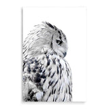 White Owl-The Paper Tree-animal,bird,black & white,black and white,boho,feathers,hamptons,harry potter,hedwig,monochrome,nature,owl,portrait,premium art print,wall art,Wall_Art,Wall_Art_Prints,white