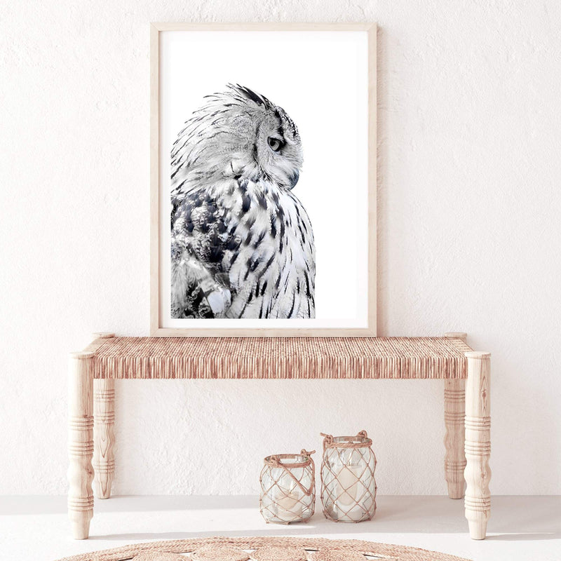 White Owl-The Paper Tree-animal,bird,black & white,black and white,boho,feathers,hamptons,harry potter,hedwig,monochrome,nature,owl,portrait,premium art print,wall art,Wall_Art,Wall_Art_Prints,white