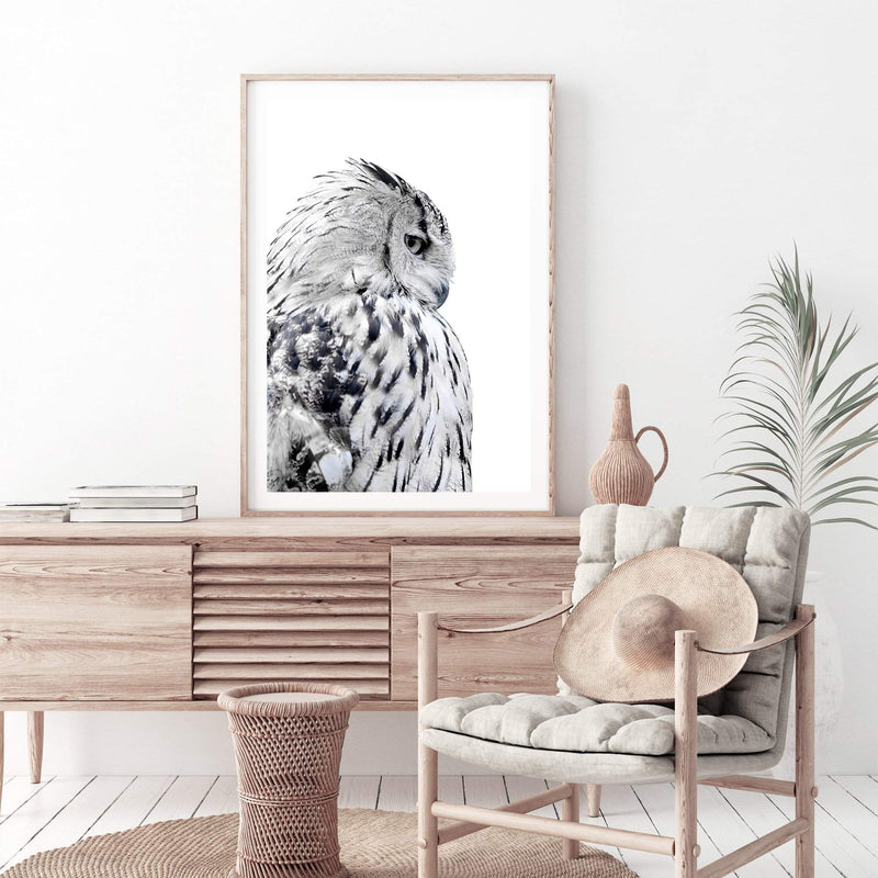 White Owl-The Paper Tree-animal,bird,black & white,black and white,boho,feathers,hamptons,harry potter,hedwig,monochrome,nature,owl,portrait,premium art print,wall art,Wall_Art,Wall_Art_Prints,white