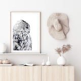 White Owl-The Paper Tree-animal,bird,black & white,black and white,boho,feathers,hamptons,harry potter,hedwig,monochrome,nature,owl,portrait,premium art print,wall art,Wall_Art,Wall_Art_Prints,white