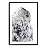 White Owl-The Paper Tree-animal,bird,black & white,black and white,boho,feathers,hamptons,harry potter,hedwig,monochrome,nature,owl,portrait,premium art print,wall art,Wall_Art,Wall_Art_Prints,white