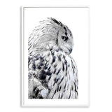 White Owl-The Paper Tree-animal,bird,black & white,black and white,boho,feathers,hamptons,harry potter,hedwig,monochrome,nature,owl,portrait,premium art print,wall art,Wall_Art,Wall_Art_Prints,white