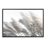 Coastal Pampas Grass-The Paper Tree-boho,botanical,Coastal,grass,hamptons,landscape,leaf,leaves,Muted Tone,Natural,nature,neutral,pampas grass,premium art print,reeds,tall grass,wall art,Wall_Art,white