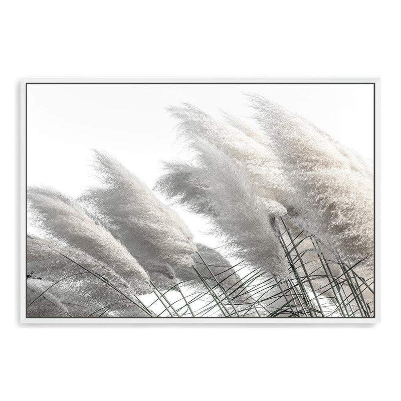 Coastal Pampas Grass-The Paper Tree-boho,botanical,Coastal,grass,hamptons,landscape,leaf,leaves,Muted Tone,Natural,nature,neutral,pampas grass,premium art print,reeds,tall grass,wall art,Wall_Art,white