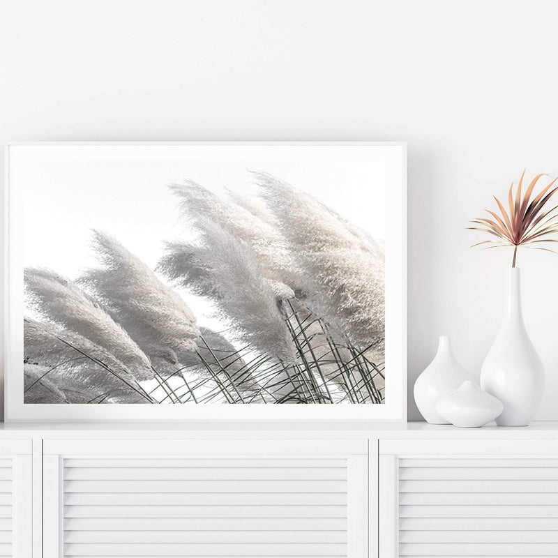 Coastal Pampas Grass-The Paper Tree-boho,botanical,Coastal,grass,hamptons,landscape,leaf,leaves,Muted Tone,Natural,nature,neutral,pampas grass,premium art print,reeds,tall grass,wall art,Wall_Art,white