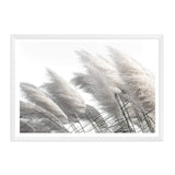 Coastal Pampas Grass-The Paper Tree-boho,botanical,Coastal,grass,hamptons,landscape,leaf,leaves,Muted Tone,Natural,nature,neutral,pampas grass,premium art print,reeds,tall grass,wall art,Wall_Art,white