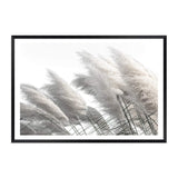 Coastal Pampas Grass-The Paper Tree-boho,botanical,Coastal,grass,hamptons,landscape,leaf,leaves,Muted Tone,Natural,nature,neutral,pampas grass,premium art print,reeds,tall grass,wall art,Wall_Art,white