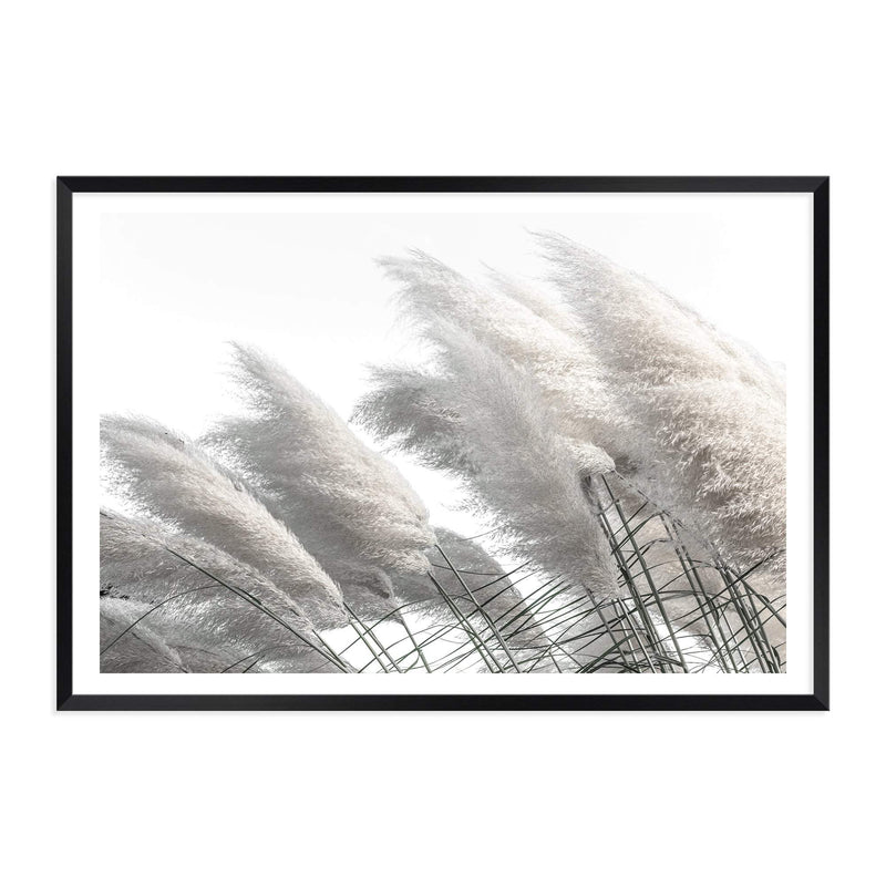 Coastal Pampas Grass-The Paper Tree-boho,botanical,Coastal,grass,hamptons,landscape,leaf,leaves,Muted Tone,Natural,nature,neutral,pampas grass,premium art print,reeds,tall grass,wall art,Wall_Art,white