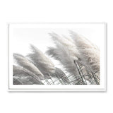 Coastal Pampas Grass-The Paper Tree-boho,botanical,Coastal,grass,hamptons,landscape,leaf,leaves,Muted Tone,Natural,nature,neutral,pampas grass,premium art print,reeds,tall grass,wall art,Wall_Art,white