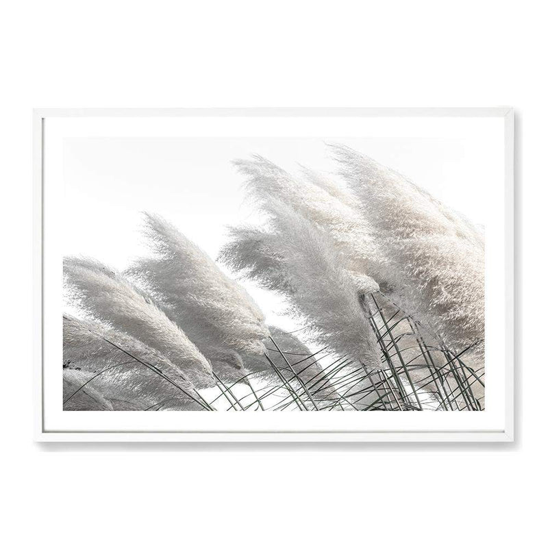 Coastal Pampas Grass-The Paper Tree-boho,botanical,Coastal,grass,hamptons,landscape,leaf,leaves,Muted Tone,Natural,nature,neutral,pampas grass,premium art print,reeds,tall grass,wall art,Wall_Art,white