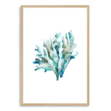 Blue Coral IIII-The Paper Tree-Art_Prints,Artwork,BEACH,blue,blue coral,coastal,COASTAL ART,coral,Designer,HAMPTON,hamptons,portrait,premium art print,wall art,Wall_Art,Wall_Art_Prints