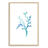 Blue Coral IIIIII-The Paper Tree-Art_Prints,Artwork,BEACH,blue,blue coral,coastal,COASTAL ART,coral,Designer,hamptons,portrait,premium art print,wall art,Wall_Art,Wall_Art_Prints