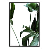 Monstera Leaves-The Paper Tree-botanical,dark green,green,jungle,leaf,leaves,minimal,modern,monstera,portrait,premium art print,scandi,wall art,Wall_Art,Wall_Art_Prints