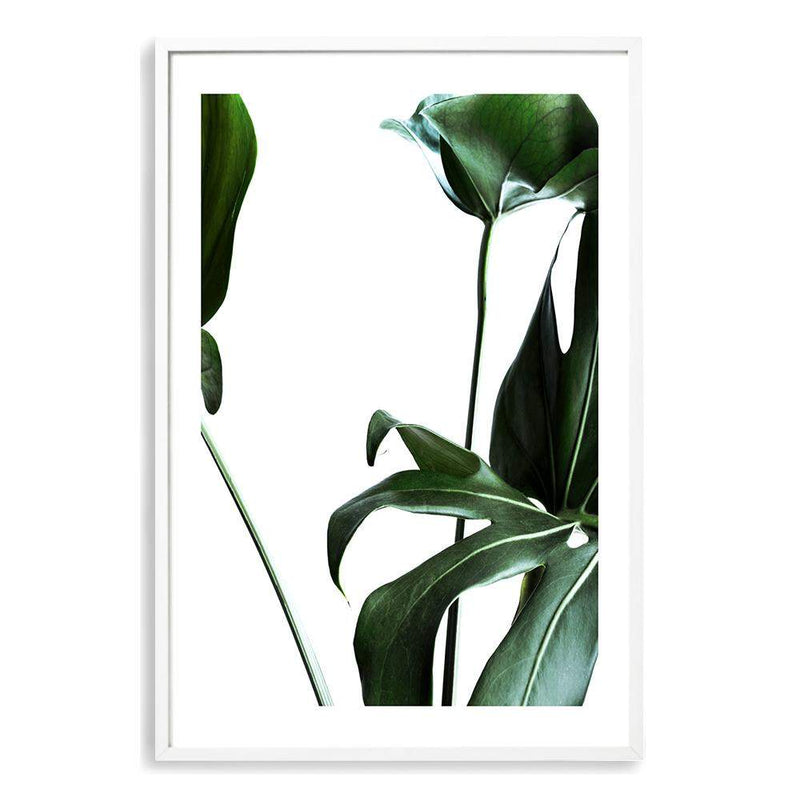 Monstera Leaves-The Paper Tree-botanical,dark green,green,jungle,leaf,leaves,minimal,modern,monstera,portrait,premium art print,scandi,wall art,Wall_Art,Wall_Art_Prints