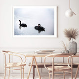 Black Swan-The Paper Tree-animals,Art_Prints,australia,australian,Australian animals,australian art,BIRD,Birds,black,black swan,coastal,COASTAL ART,Designer,hamptons,lake,landscape,nature,ocean,premium art print,swan,swans,wall art,Wall_Art,Wall_Art_Prints,water