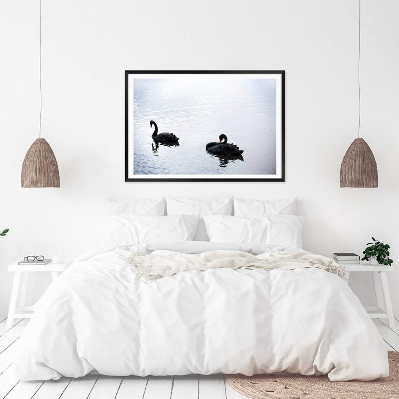 Black Swan-The Paper Tree-animals,Art_Prints,australia,australian,Australian animals,australian art,BIRD,Birds,black,black swan,coastal,COASTAL ART,Designer,hamptons,lake,landscape,nature,ocean,premium art print,swan,swans,wall art,Wall_Art,Wall_Art_Prints,water