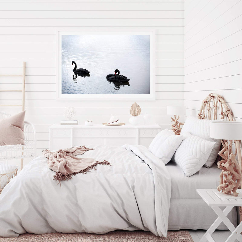 Black Swan-The Paper Tree-animals,Art_Prints,australia,australian,Australian animals,australian art,BIRD,Birds,black,black swan,coastal,COASTAL ART,Designer,hamptons,lake,landscape,nature,ocean,premium art print,swan,swans,wall art,Wall_Art,Wall_Art_Prints,water