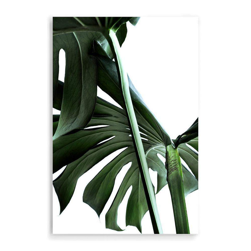 Monstera Leaves II-The Paper Tree-botanical,dark green,green,jungle,leaf,leaves,minimal,modern,monstera,portrait,premium art print,scandi,wall art,Wall_Art,Wall_Art_Prints